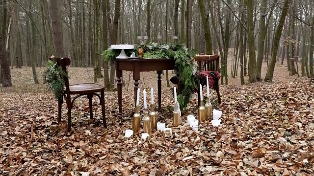 这张可爱的双人桌在秋天的森林里用云杉树枝装饰，还用蜡烛装饰。视频下载