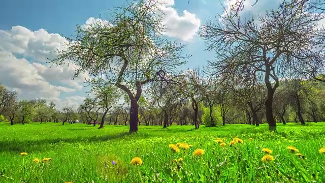 春季苹果园，用起重机延时拍摄视频素材