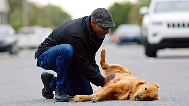 非裔美国人可爱的宠物顽皮的狗躺在空的街道上。视频素材