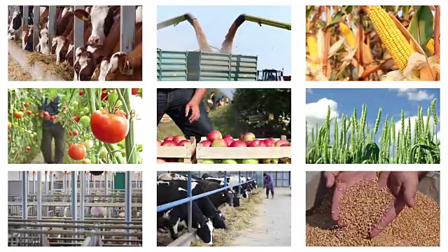 农业-食品生产蒙太奇视频下载