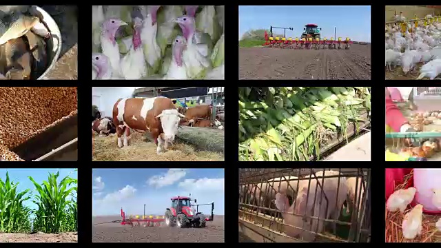 农业-食品生产蒙太奇视频下载
