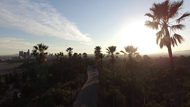 鸟瞰图闪闪发光的太阳在棕榈树排列的道路视频素材