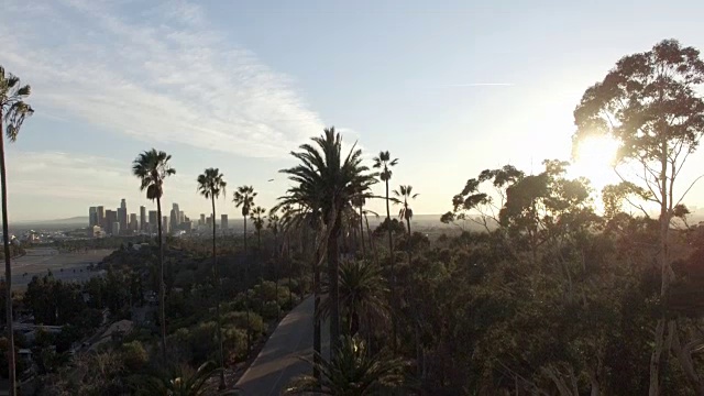 惊人的无人机拍摄的洛杉矶和公园树后的阳光视频素材