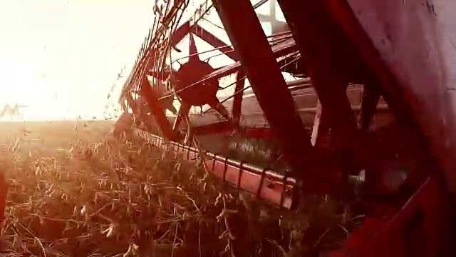 秋日日落，大豆收获。平衡股票视频。视频素材