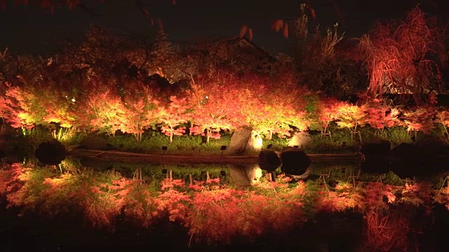 摇摄:橘色和红色的灯光装饰的枫树映照在夜晚静静的池塘视频素材