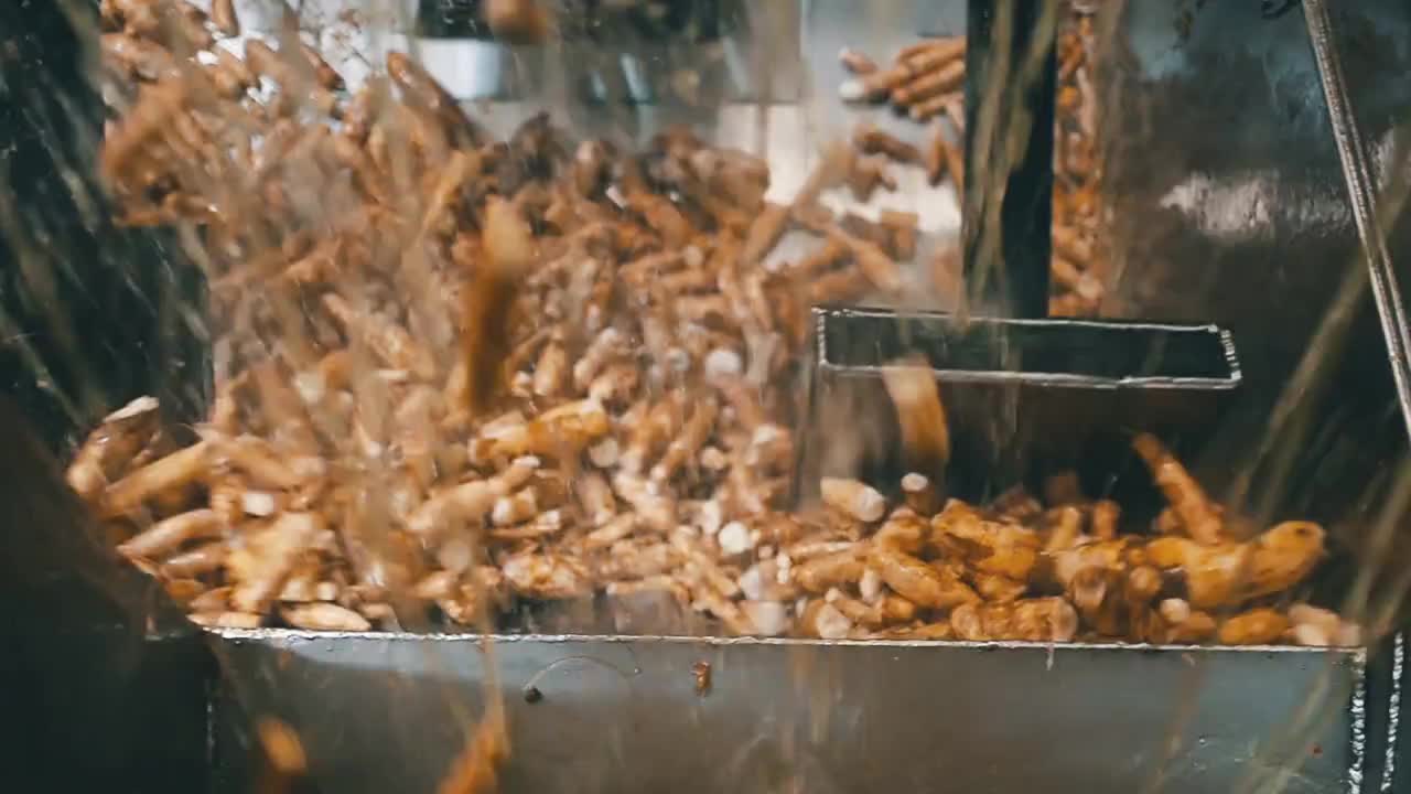 木薯淀粉厂，木薯厂视频素材