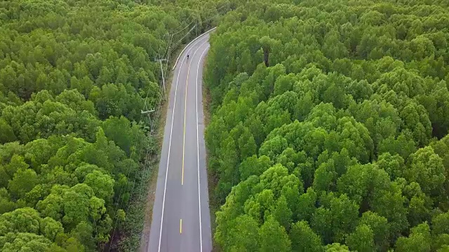 鸟瞰图的当地公路旅行与常青树在泰国视频素材