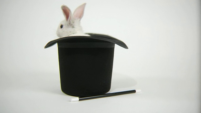 兔子从魔术师的帽子里跳出来视频素材