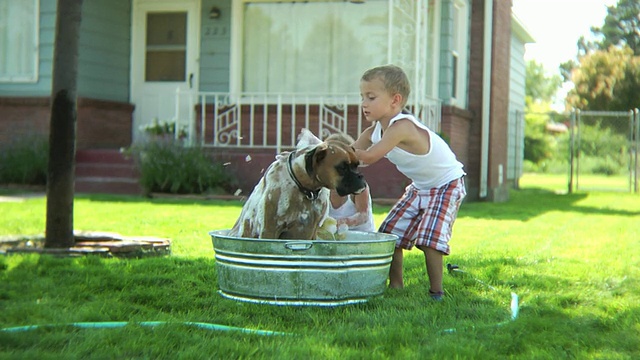 两个小孩在给狗洗澡视频素材