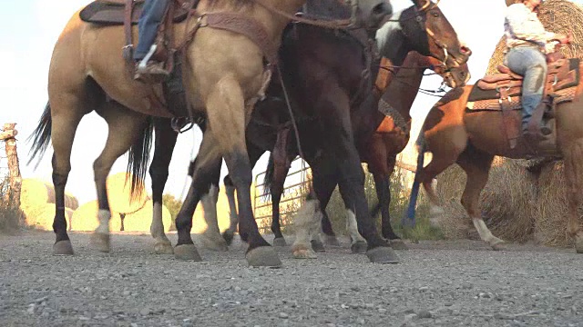 日落时分，年轻的牛仔骑马穿过农场视频素材