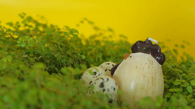 复活节彩蛋和鸡窝里的小鸡。视频素材