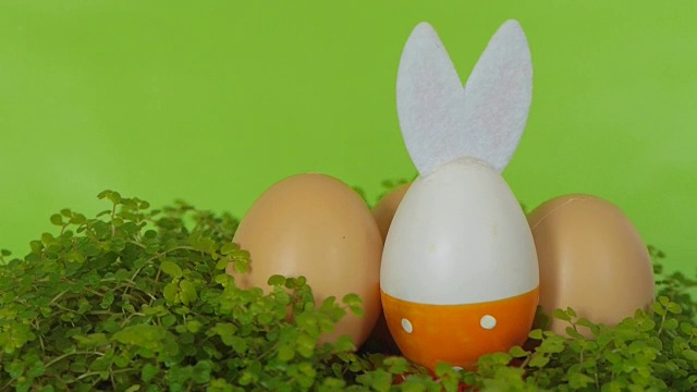 复活节兔子，带着装饰彩蛋。视频素材