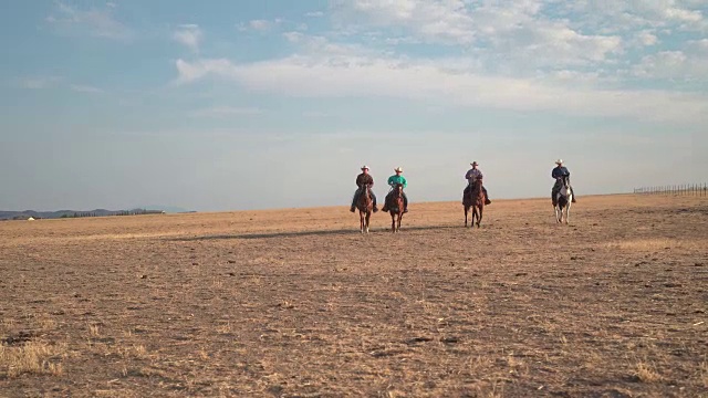 牛仔们赶着马赶着马。视频素材
