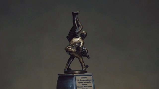 在柔道锦标赛中获胜。为体育成就而设的奖杯。灰色背景上的金杯视频下载