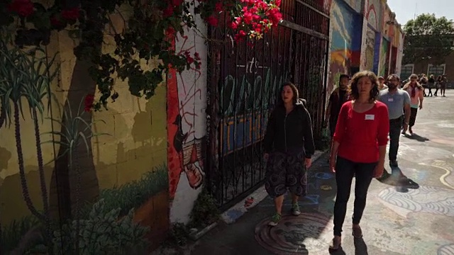 美国旧金山Clarion Alley街头艺术(涂鸦)附近的唱歌和行走的妇女视频下载