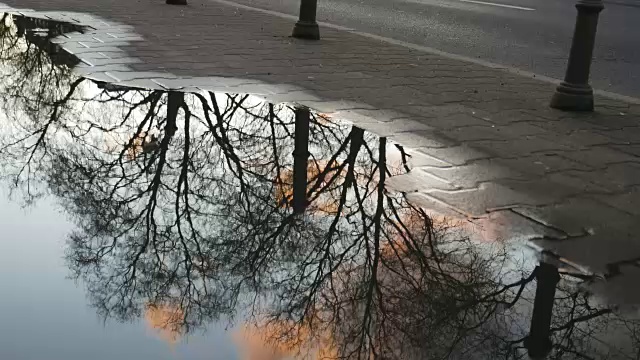 人行道水坑反映早晨的天空和光秃秃的树视频素材