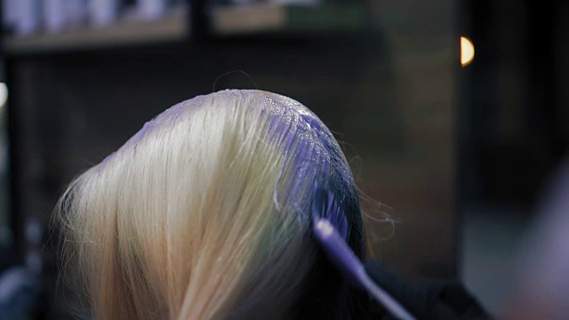 发型师在专业手套应用紫色染发剂在长金发女人的头发与刷子。特写镜头视频下载