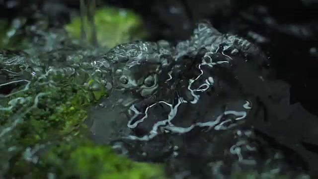清洗新鲜西兰花的慢动作视频视频素材