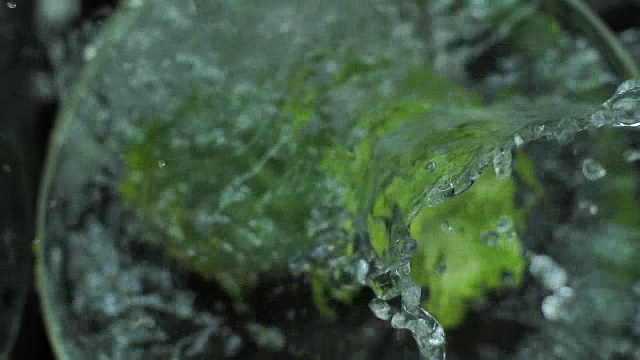新鲜的花椰菜溅入水中的慢动作视频素材