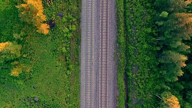 鸟瞰图:夏季森林景观，树带之间的火车。视频下载