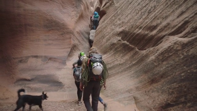 一群朋友爬上砂岩墙通过狭窄的狭槽峡谷，狗在下面等待。视频素材