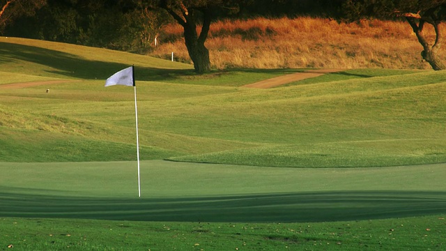 高尔夫球场洞，绿色和旗帜视频下载