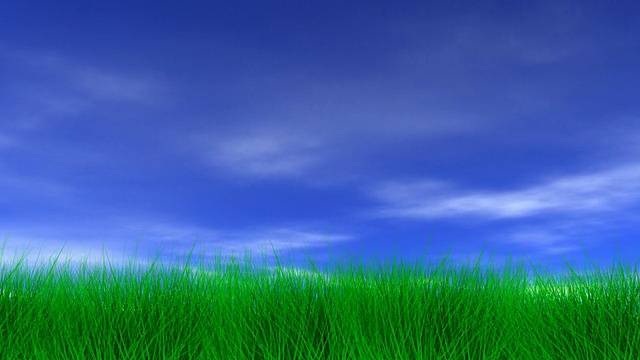 美丽的绿草和蓝天视频素材