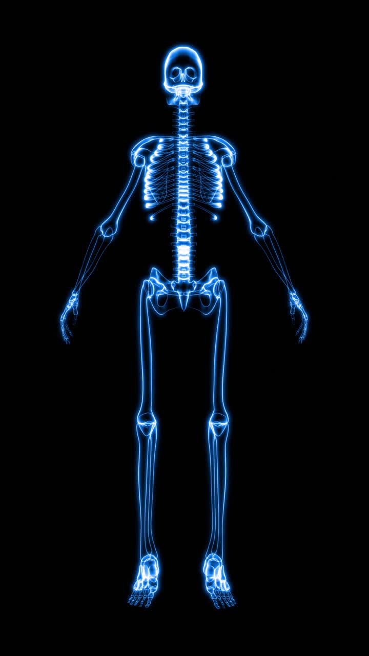 人体骨骼x光片(高清垂直)视频下载