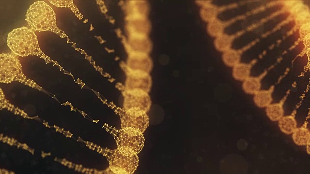 两条旋转的神经丛DNA链，金色橙色的版本视频素材
