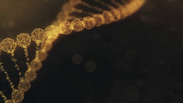 旋转的神经丛DNA链与脉冲运行-金橙色版本视频素材
