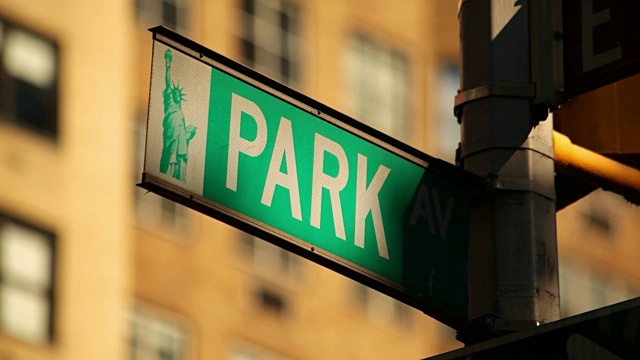 纽约市的公园大道视频下载