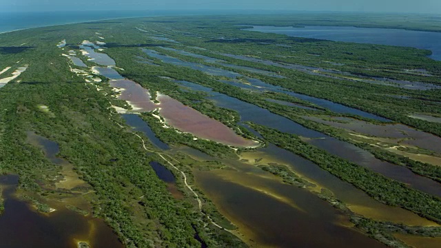 Celestun生物圈保护区湿地的空中拍摄视频下载