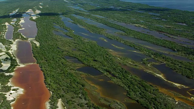 空中拍摄的Celestun野生动物保护区湿地视频下载