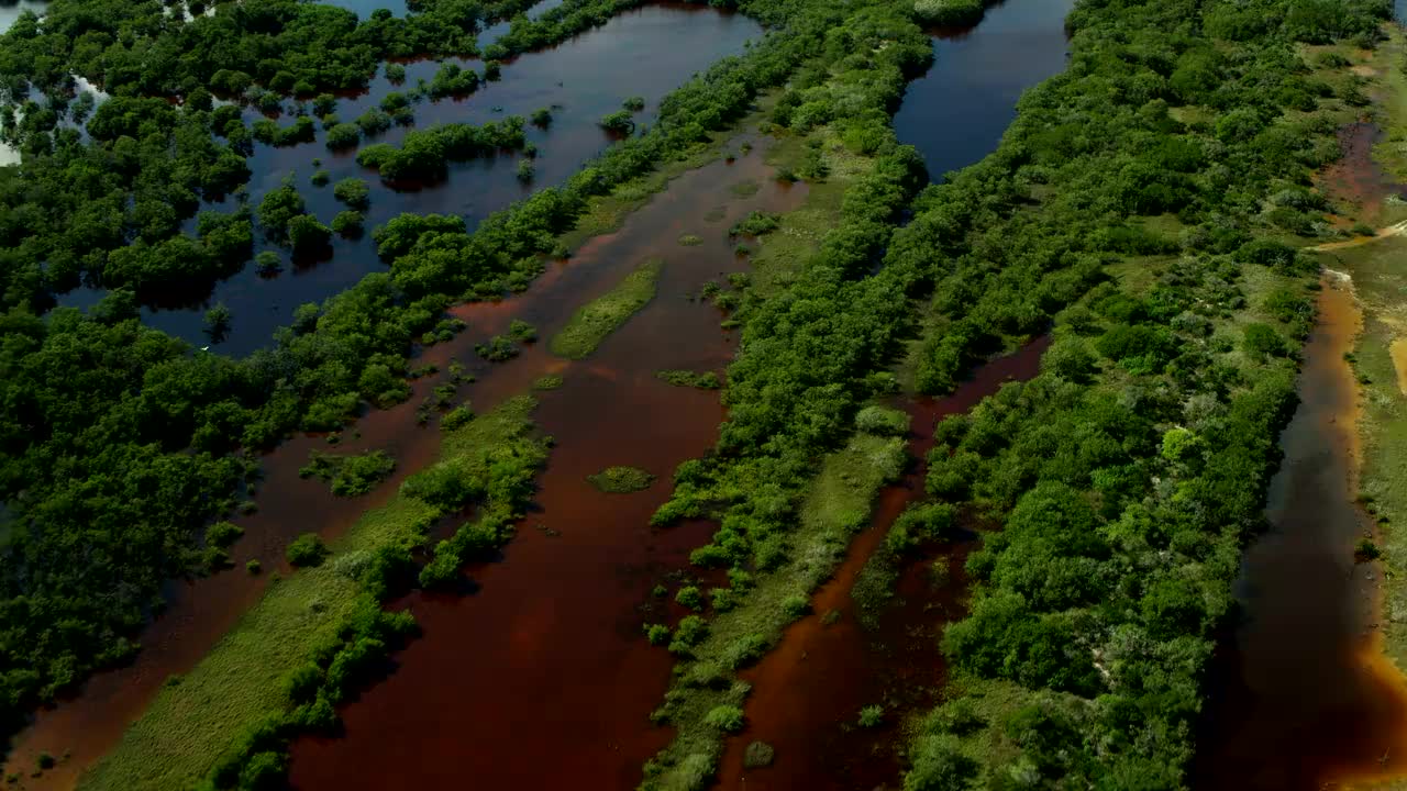 墨西哥红树林的鸟瞰图视频下载