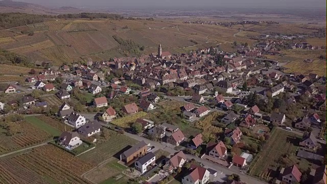 鸟瞰法国阿尔萨斯葡萄酒之路里奎威尔葡萄园的秋天。原始的原始日志格式。视频素材