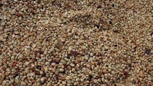 发酵咖啡的慢动作视频下载