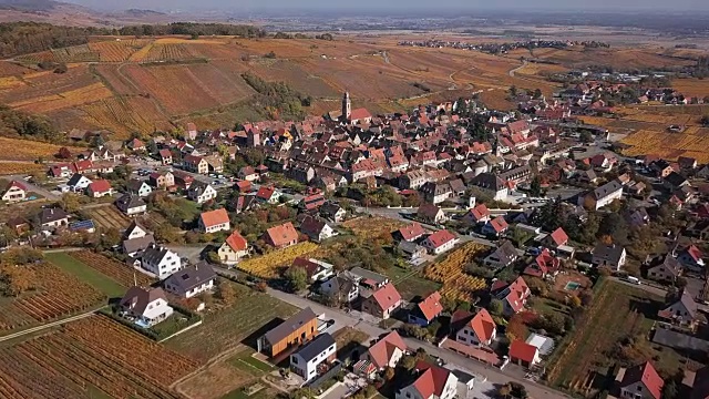 鸟瞰法国阿尔萨斯葡萄酒之路里奎威尔葡萄园的秋天视频素材