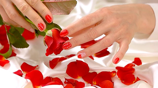 红指甲和红玫瑰，慢镜头。视频下载