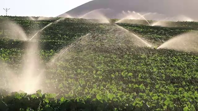 灌溉设备，农业水洒水器，灌溉农场植物作物地缓慢运动视频素材