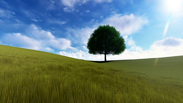在一个阳光明媚的日子里，绿色草地上的一棵树视频素材