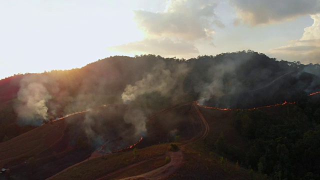 4k鸟瞰图的森林火灾在日落时间。视频下载
