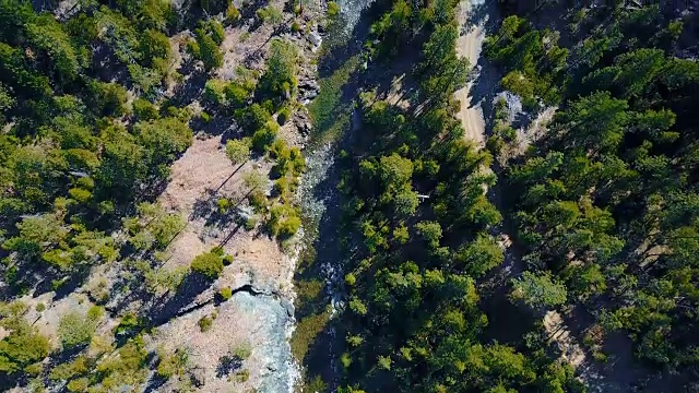 无人机飞越溪流和森林4k视频素材