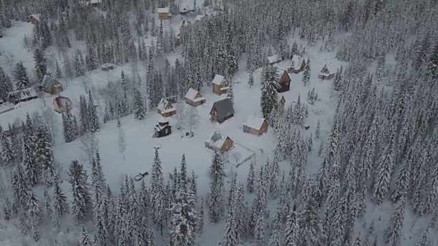 森林中小屋的无人机视图视频素材