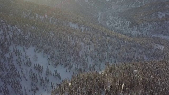 无人机拍摄积雪覆盖的森林和山脉视频素材