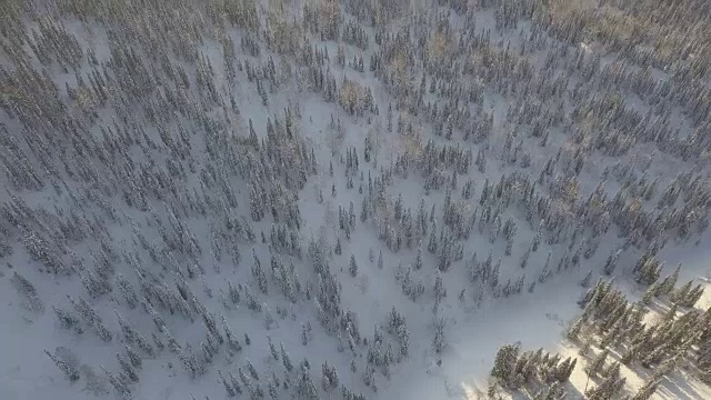 无人机拍摄积雪覆盖的森林和山脉视频素材