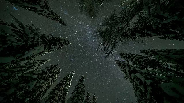森林上空星星的时间流逝视频下载
