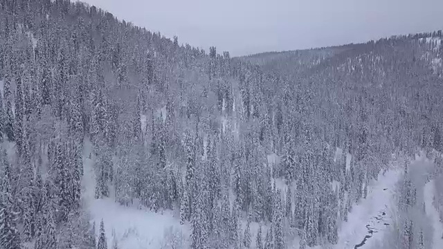 无人机拍摄的冬天的森林和河流视频素材