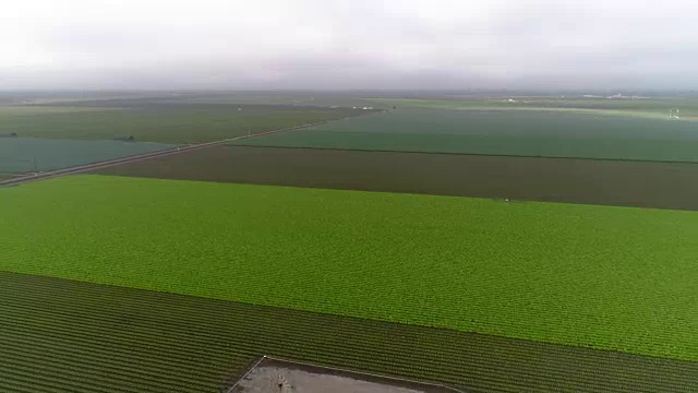 一架无人机飞过加利福尼亚州萨利纳斯的莴苣和草莓田视频下载