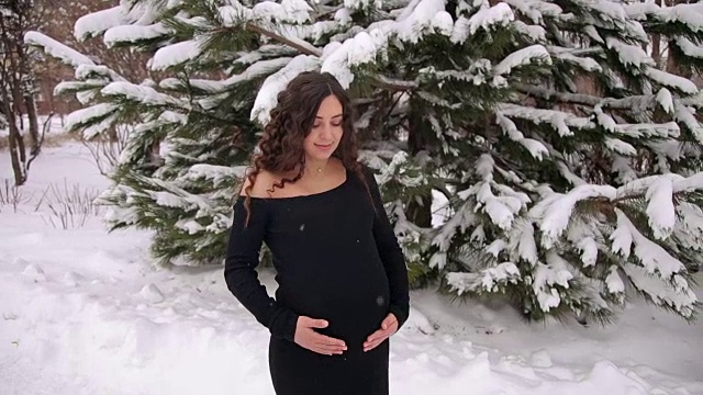 冬季公园里快乐怀孕女孩的肖像。视频素材