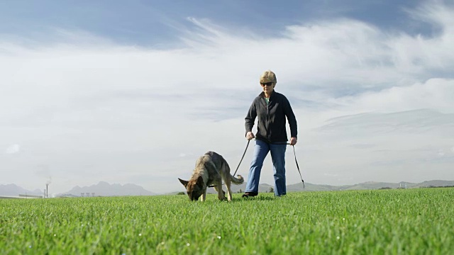 牧羊犬和他的主人在农场散步4k视频素材
